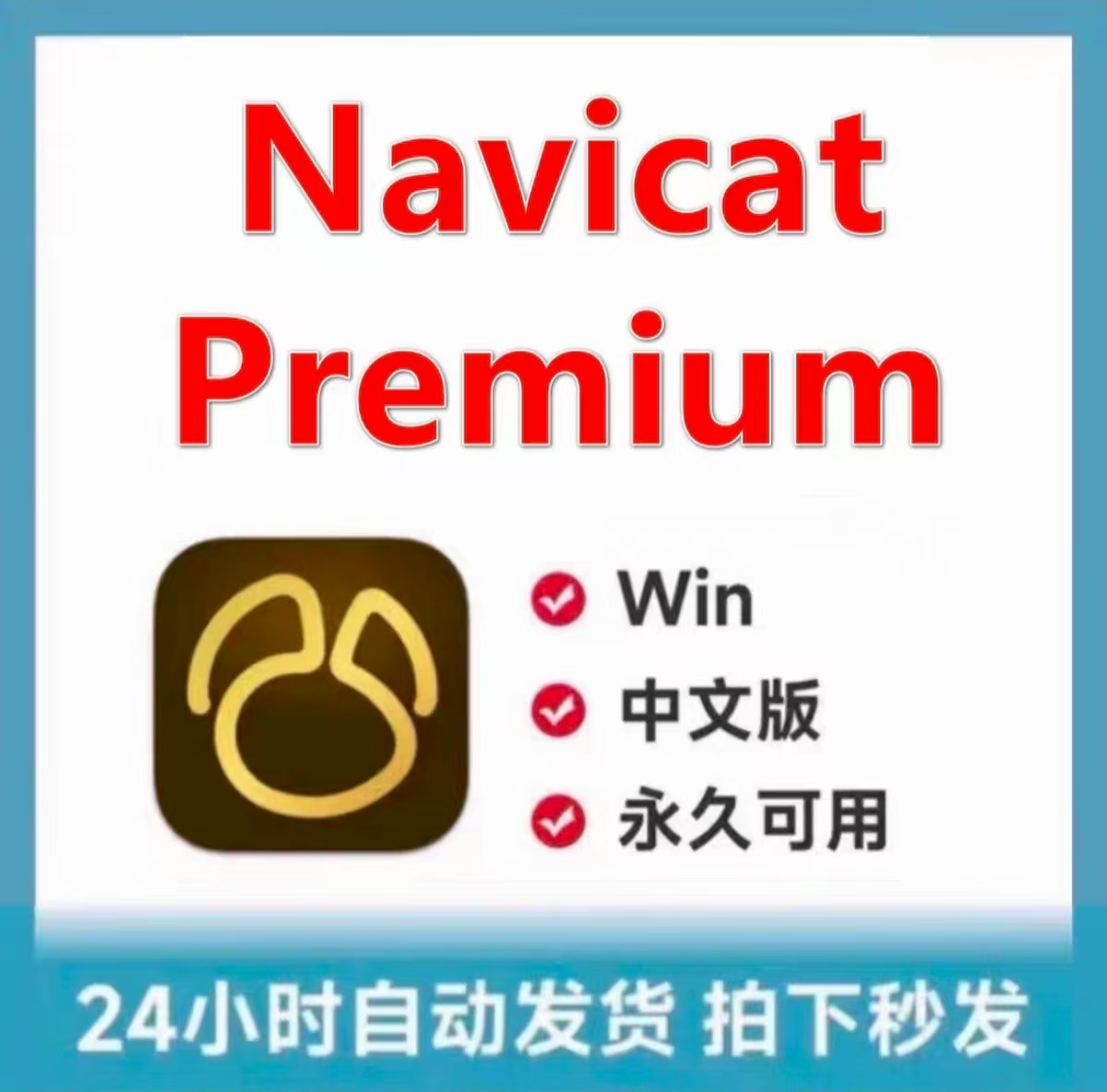 Navicat17永久激活，数据库软件